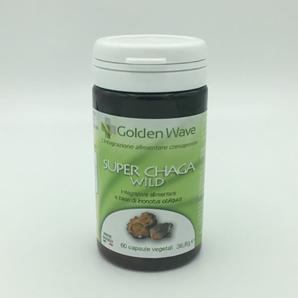 SUPER CHAGA WILD GOLDEN WAVE FUNGHI MICOTERAPIA Il Punto Bio