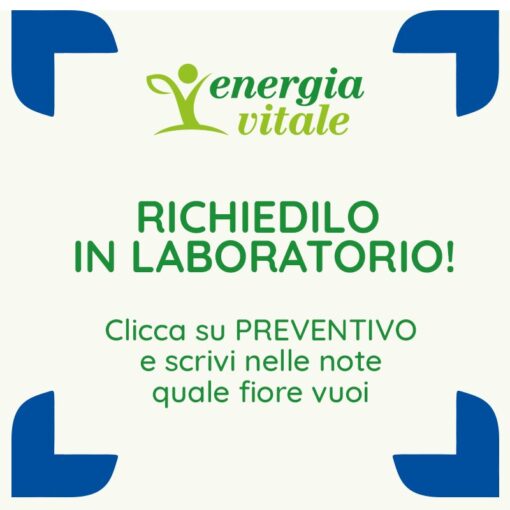 2500000000225-OLIVE FB ENERGIA VITALE