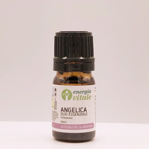 2500000000544-EV ANGELICA OE 5ML