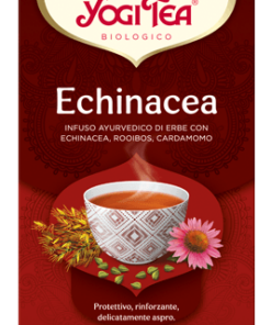 4012824401532-INFUSO ECHINACEA 17 FILTRI YOGI