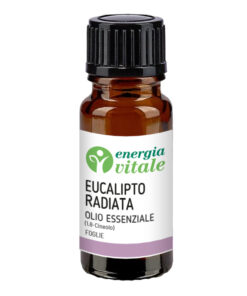 2500000030305-EV EUCALIPTO RADIATA OE 10 ML