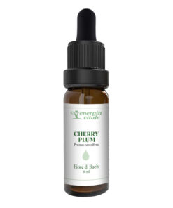 2500000000108-CHERRY PLUM FB ENERGIA VITALE