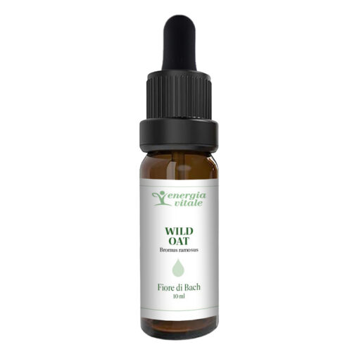 2500000000412-WILD OAT FB ENERGIA VITALE