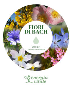 2052587000400-KIT FIORI BACH - Energia Vitale