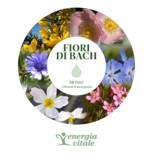 2052587000400-KIT FIORI BACH - Energia Vitale